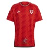 Officiële Voetbalshirt Wales Bale 11 Thuis WK 2022 - Heren